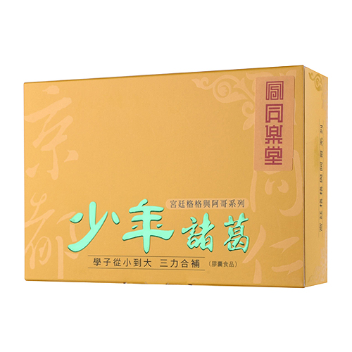 少年諸葛